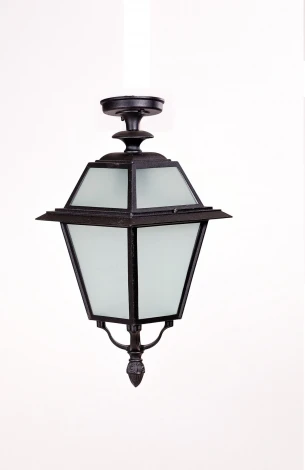 Потолочный светильник уличный Oasis Light FARO-FROST L 91105fLA Bl (220V, IP44)