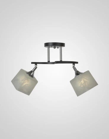 Потолочная люстра на штанге Мелодия Света SS1N P5507-2 BK 000050567