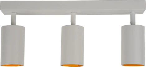 Потолочный светильник спот Brizzi Aras BR08088