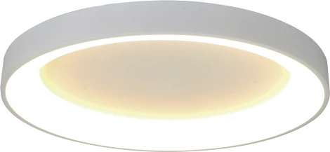 Потолочный светильник круглый Mantra Niseko 8577 (регулировка яркости, LED, 220V, пульт управления, круглые)
