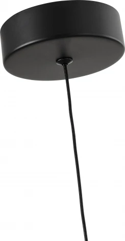 Подвесной светильник Favourite Cattivo 4452-1P (LED, 220V, на проводе)