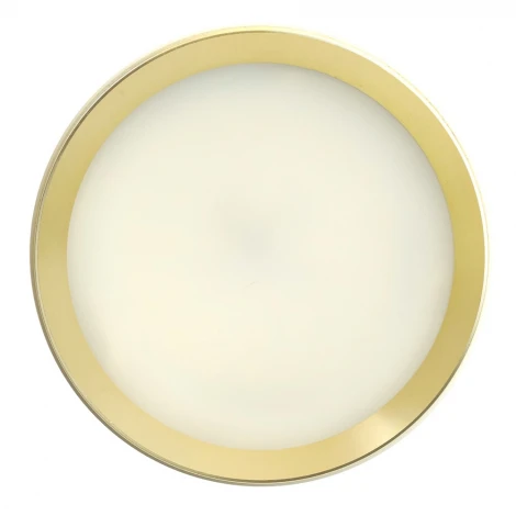 Потолочный светильник Feron HL459 52022