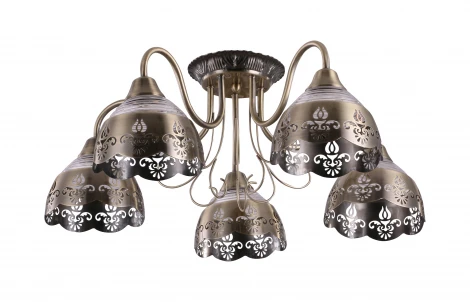 Потолочная люстра J-Light Mina 1150/5C