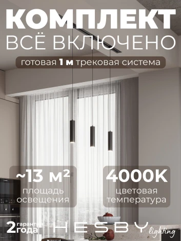 Трековая система в сборе однофазная встраиваемая 220V 30W Hesby Lighting Skylite №12 HSBL_kompl_S012_VI1B4K