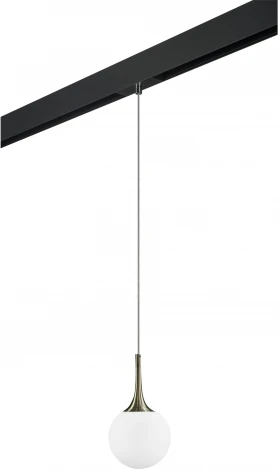 Трековый светильник однофазный 220V Lightstar Globo PRO813011 (шар)
