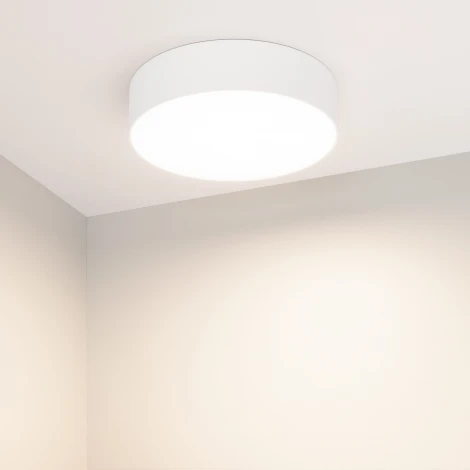 Потолочный светильник LED круглый SP-RONDO-R210-20W Day4000 (WH, 120 deg, 230V) (Arlight, IP40 Металл) 022230(2)