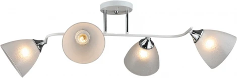 Потолочная люстра на штанге Reluce 01706-0.3-04 (220V)