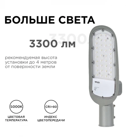 Уличный консольный светильник светодиодный 30Вт 3300лм 5000К IP65 КСС "Ш" серый Apeyron 29-01