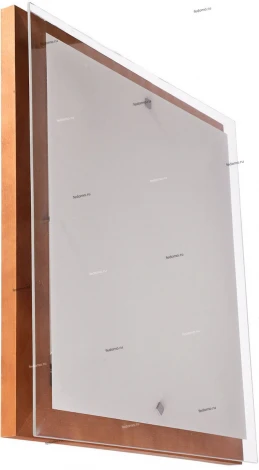 Настенно-потолочный светильник Дубравия Эко 106-21-24/3H