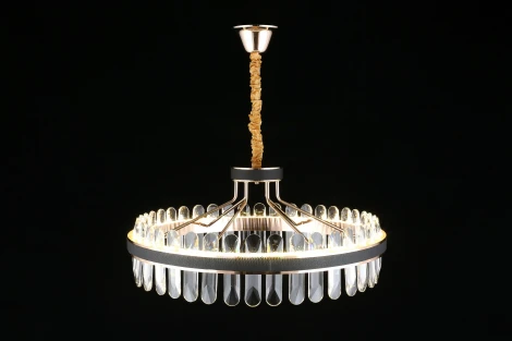 Подвесная люстра Aployt Honori APL.027.03.102 (LED, 220V, на цепи, кольцо)