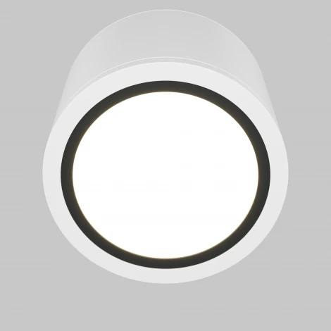 Накладной потолочный светильник Maytoni Rendo C095CL-GX53-W (220V, круглые, IP44)