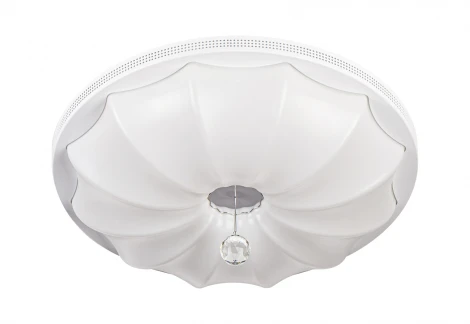 Потолочный светильник Escada 10231/S LED