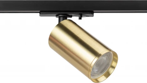 Трековый светильник ЭРА TR39-GU10 BS (220V, круглые)