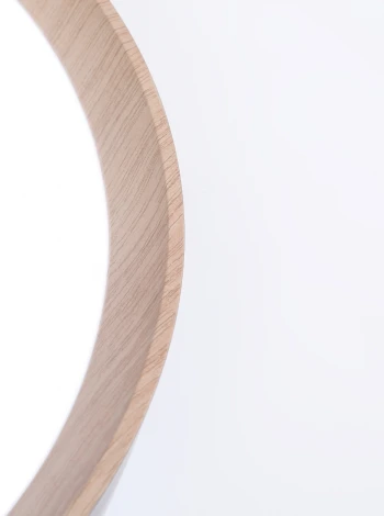 Потолочный светильник круглый светодиодный Ambrella Orbital FZ1322 (220V, пульт управления, круглые)