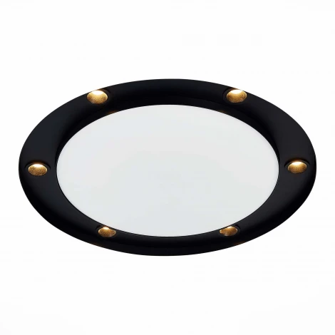 Точечный светильник встраиваемый ST Luce St706 ST706.438.30 (LED, 220V, круглые)