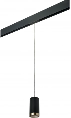 Трековый светильник однофазный 220V Lightstar Rullo PRORP437431 (круглые)