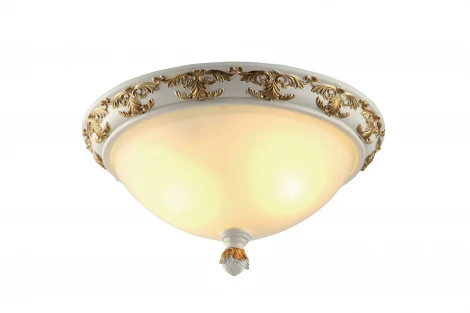 Потолочный светильник Arte Lamp Benessere A9570PL-2WG