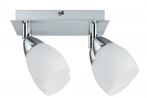 Спот Paulmann Wolba 66684