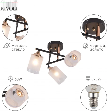 Потолочная люстра на штанге Rivoli Fiona 3163-303 (220V)