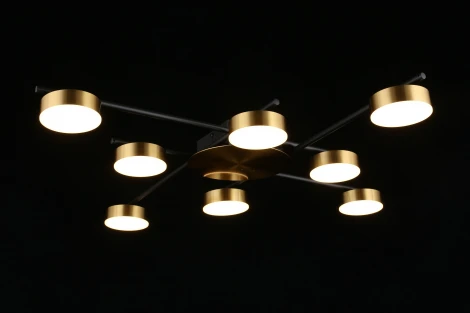 Потолочная люстра на штанге Aployt Delayn APL.042.07.56 (LED, 220V, круглые)