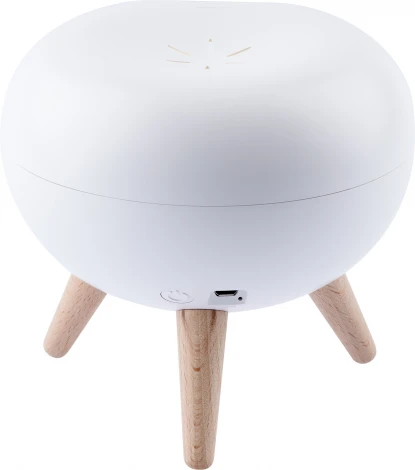 Ночник светодиодный с выключателем регулировкой яркости и зарядкой от USB ЭРА NLED-467-1W-W