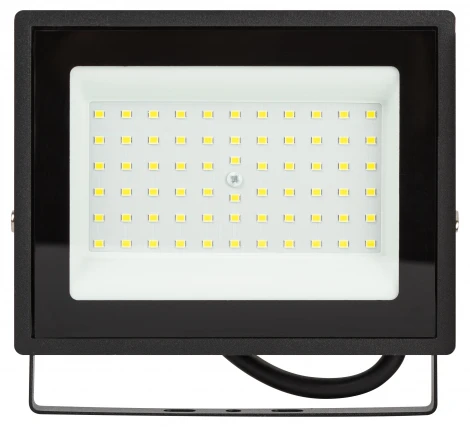 Прожектор уличный светодиодный ЭРА LPR-02 LPR-023-0-65K-050