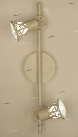 Спот на штанге Citilux Винон CL519525 (220V, круглые)