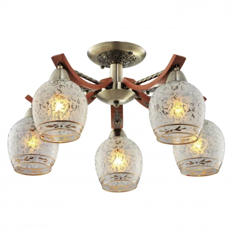 Потолочная люстра Citilux Vudi CL165153