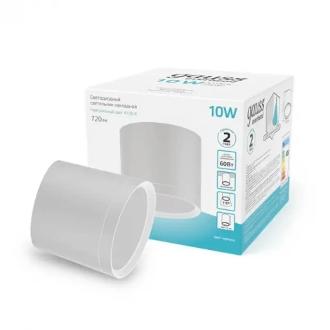 Накладной точечный светильник Gauss HD024 (LED, 220V, круглые)