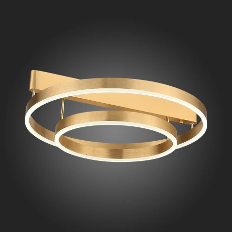 Потолочная люстра ST Luce Onze SL944.202.02