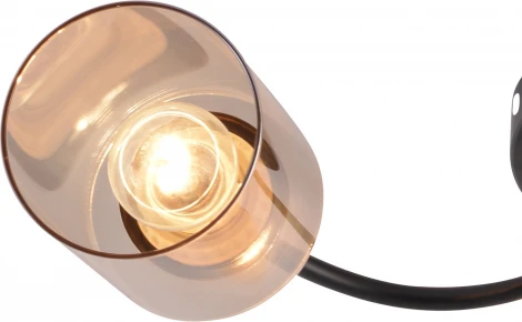 Потолочная люстра Reluce 01608-0.3-03 BK+BRASS (220V)