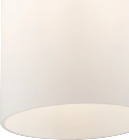 Подвесной светильник Freya Pitch FR5365PL-01CH (220V, на проводе, круглые)