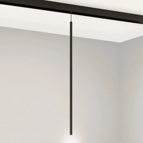 светильник магнитный MAG-ORIENT-SPOT-HANG-L600-R12-2W Day4000 (BK, 20 deg, 48V) (Arlight, IP20 Металл) 044501