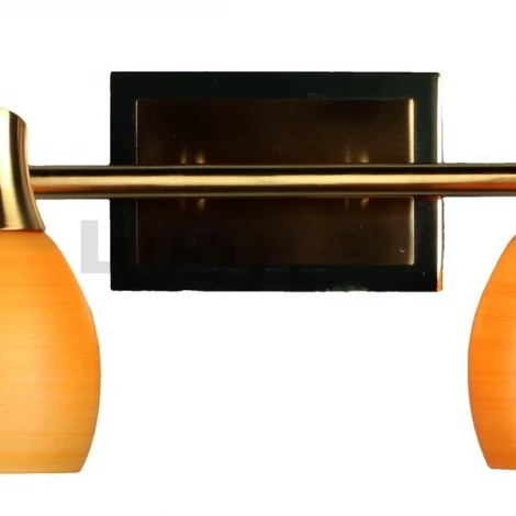 Спот Omnilux OML-217 OML-21701-02