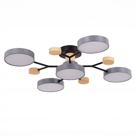 Потолочная люстра на штанге Evoluce Faema SLE6006-702-05