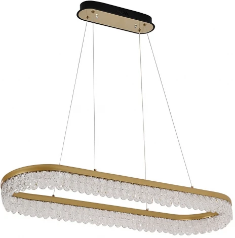 Потолочный светильник F-Promo Lunetta 4186-1U (LED, 220V, подвески, пульт управления, на тросе)