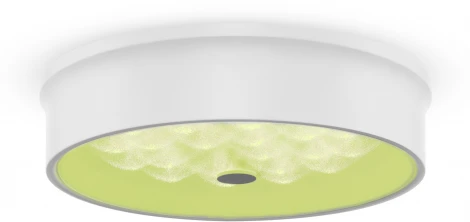 Потолочный светильник Freya Cells FR10011CL-L24W