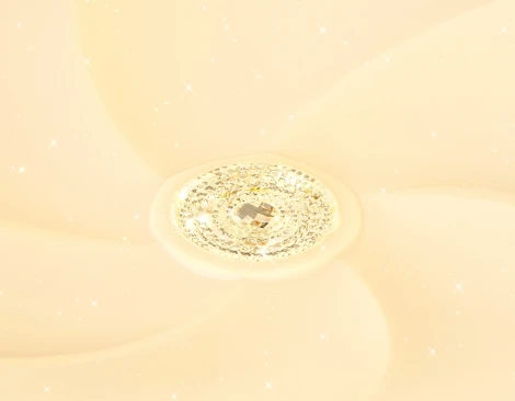 Потолочный светильник круглый Ambrella Orbital FF23 (регулировка яркости, LED, 220V, пульт управления, круглые)