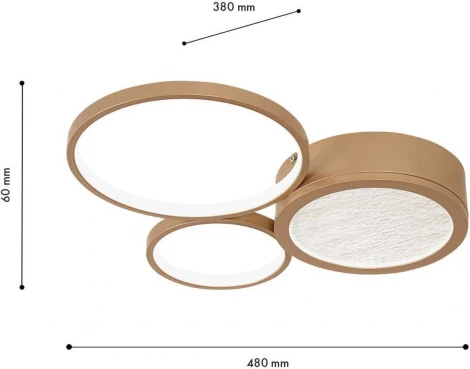 Потолочный светильник круглый F-Promo Campus 4681-3C (LED, 220V)