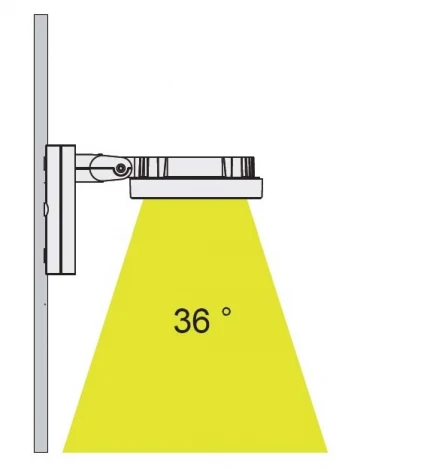 Прожектор уличный светодиодный Oasis Light PROJEKTOR W6102S-3K Gr
