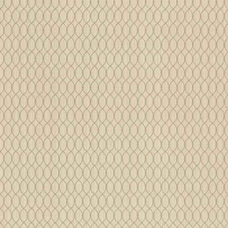 Обои виниловые Rasch Filigrano 964011 10,05 x 1,06 м