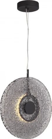 Подвесной светильник ST Luce Alumno SL6142.413.01 черный/дымчатый LED 1*8W 4000K (220V, на тросе, круглые)