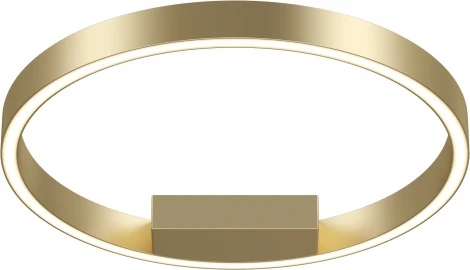 Потолочный светильник круглый Maytoni Rim MOD058CL-L25BSK (LED, 220V, кольцо)