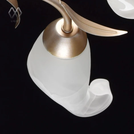 Потолочная люстра MW-Light Восторг 242016205