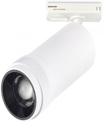 Трековый светильник однофазный ST Luce ST384.546.20 Белый LED 1*20W 220V (круглые)