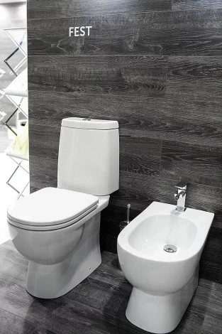 Унитаз-компакт Sanita luxe Fest SL DM