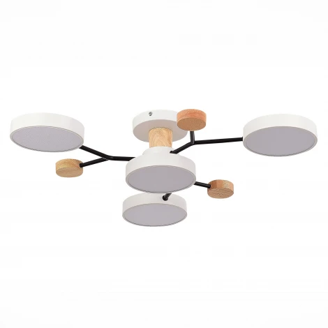 Потолочная люстра на штанге Evoluce Faema SLE6006-502-04