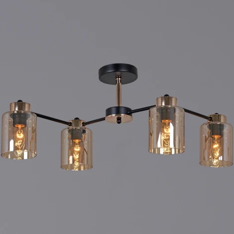 Потолочная люстра на штанге Reluce 01606-0.3-04 BK+FGD (220V)