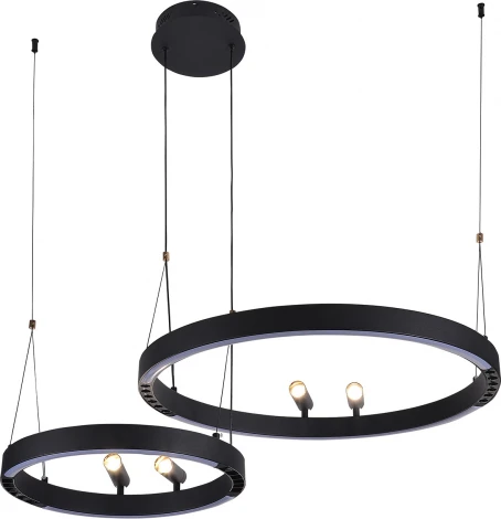 Подвесной светильник со спотами F-Promo Slinga 4474-2P (LED, 220V, на проводе, кольцо)