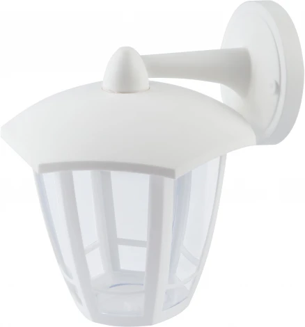 Настенный фонарь уличный ЭРА НБУ 07-40-004 «Дели 3» белый (220V, IP44)